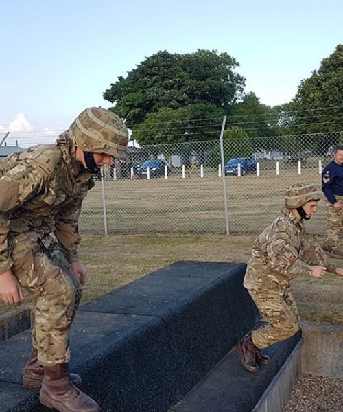 News » ccf field day AT pirbright
